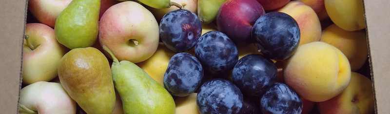 U-Pick Fruit